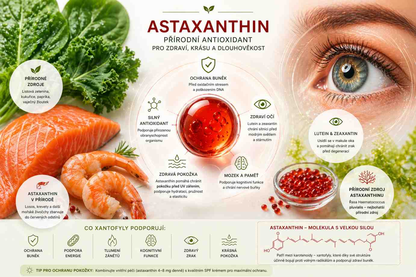 Xantofyly – farbivá, ktoré predlžujú život (a nielen plameniakom)
